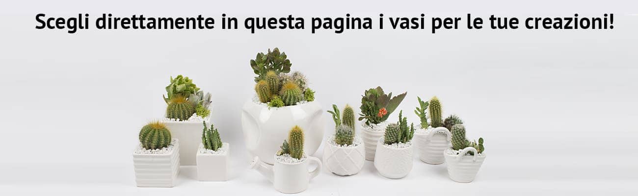 Slide pagina consigli Composizioni piante grasse da interno su vasi ceramica Immagine pagina prodotti consigliati per composizioni piante grasse