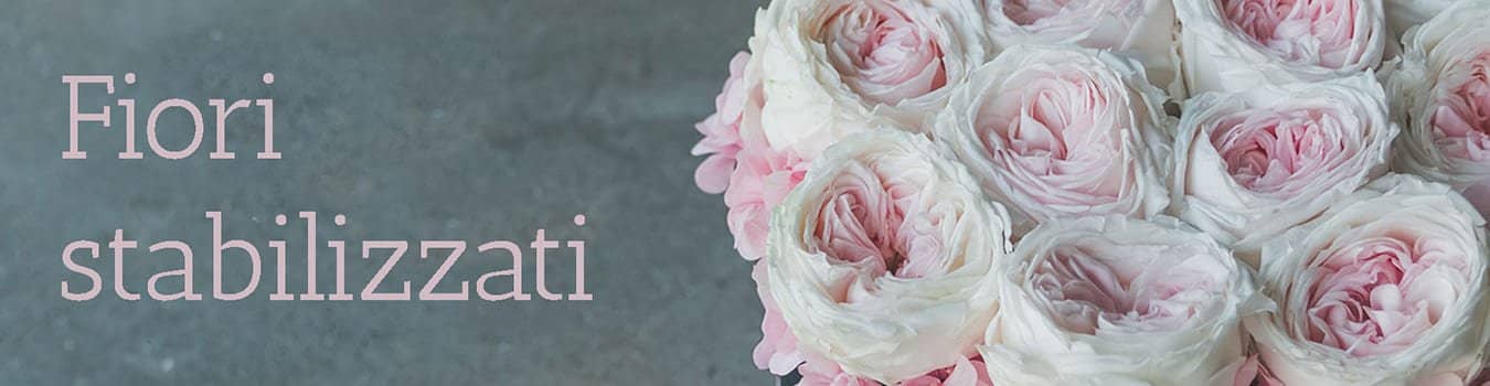 Fiori stabilizzati e Rose stabilizzate ingrosso