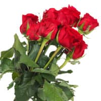 Fascetto rose rosse San Valentino