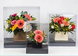 Scatole trasparenti per fiori