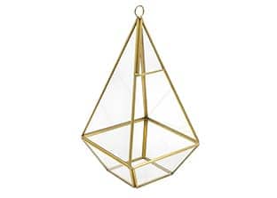 Immagine categoria ingrosso Terrari vetro per piante