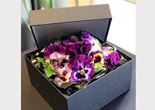 Scatole per fiori - Categoria shop per fioristi