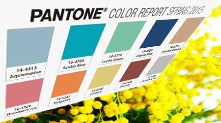 Colori modi nei prodotti per fioristi