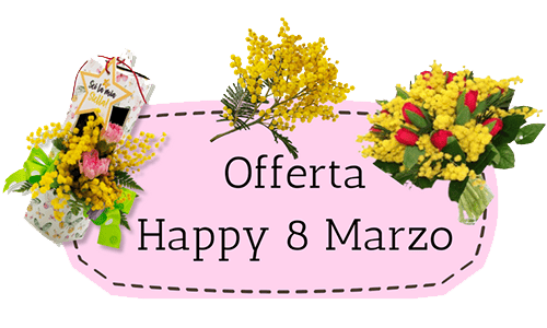 Icona offerta Happy 8 Marzo Creflo
