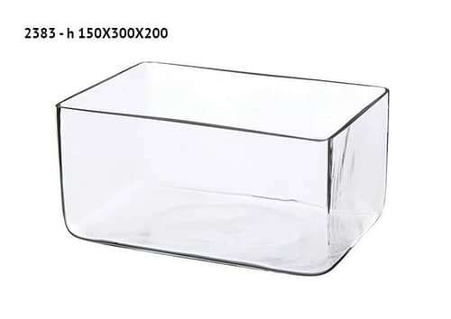 Ciotola in vetro spesso forma rettangolare cm 30x20 h15 - Ciotole vetro