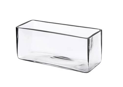 Immagine e commerce Vaso vetro rettangolare bordo spesso cm 25x10 h10