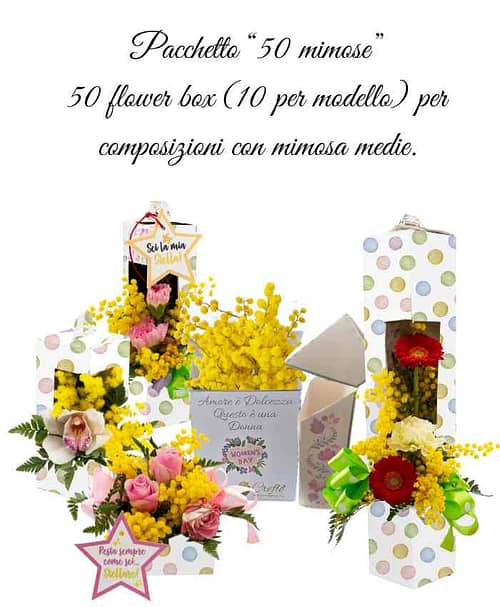 pacchetto-50-mimose-flowerbox-assortite