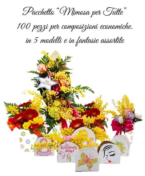 pacchetto-mimosa-per-tutte-100-in-5-modelli-assortiti