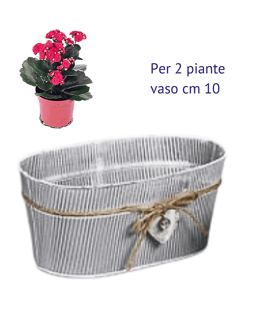 Immagine e commerce Contenitore latta anticata decoro righe con cordoncino e cuore per 2 piante vaso 10 cm