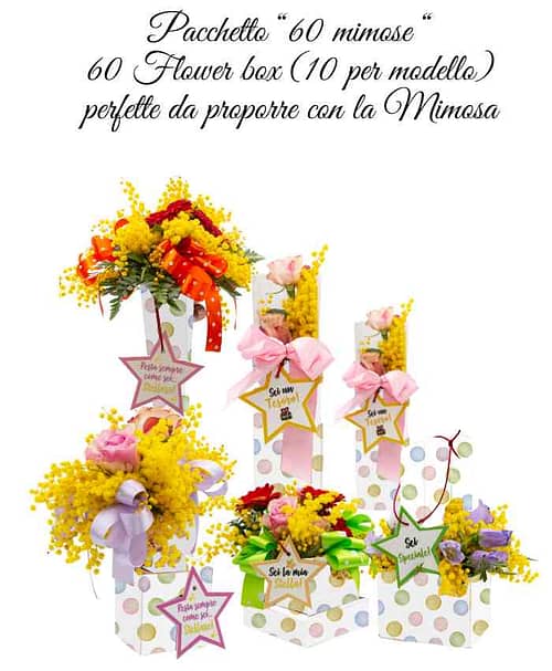 mimose-pacchetto-60-mimose-flowerbox-assortite