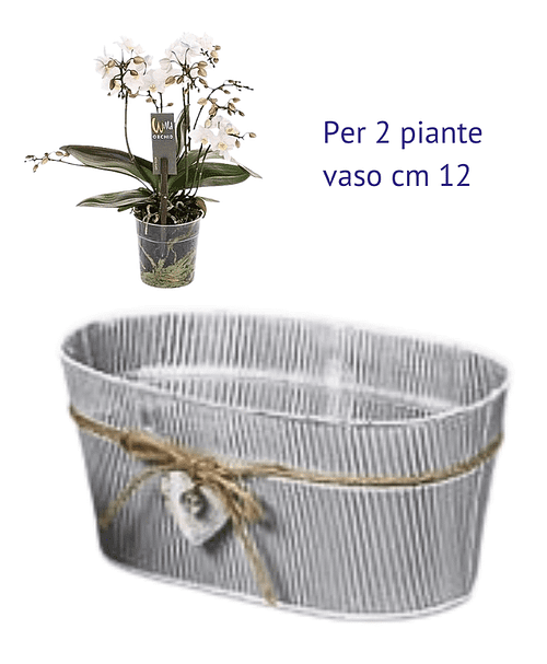 Immagine e commerce Contenitore latta anticata decoro righe con cordoncino e cuore per 2 piante vaso 12 cm