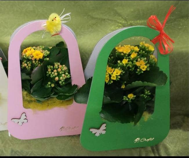 Scatole per fiori e piccole piantine