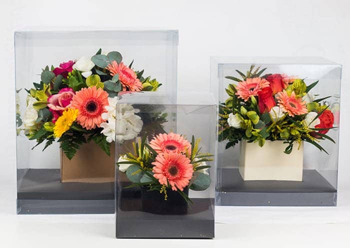 Crystalbox Scatole trasparenti per creazioni floreali