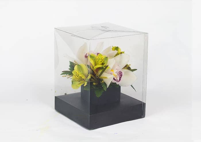 Crystalbox - Scatole trasparenti per fiori cm 14x14x18