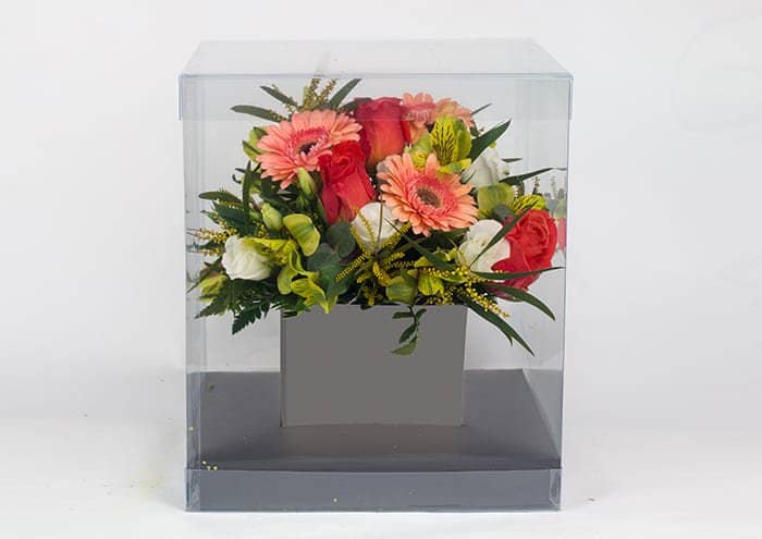 Crystalbox - Scatole trasparenti per fiori cm 24x24x28