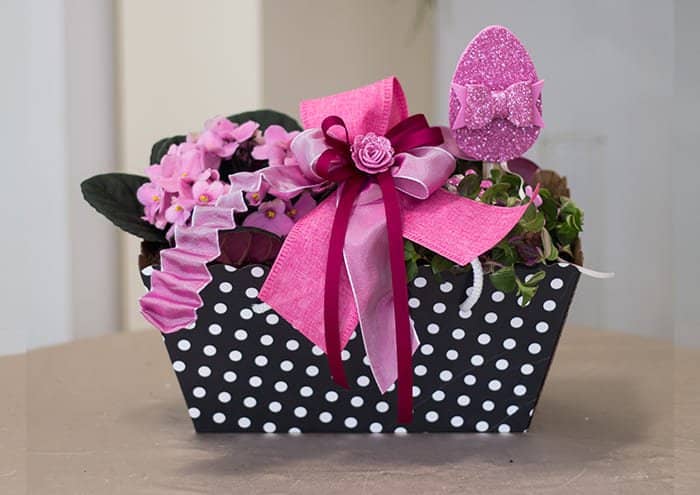 Scatola regalo per piante fantasia pois