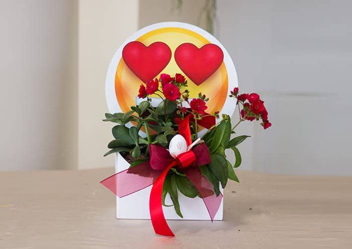 Scatola regalo personalizzata con emoji occhi cuore e piccole piante