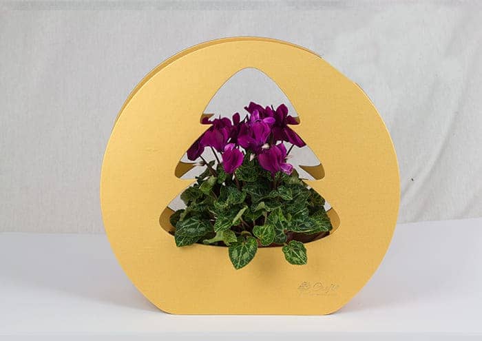 Immagine e commerce Christmas tree bag confezione regalo per fiori colore oro