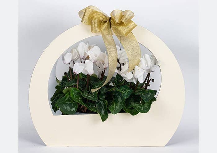 Immagine e commerce Maxi round bag Confezione regalo per fiori colore avorio