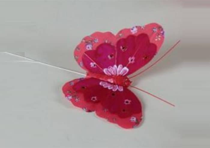 serie-12-farfalle-in-piuma-con-pick-rossa-con-cuori