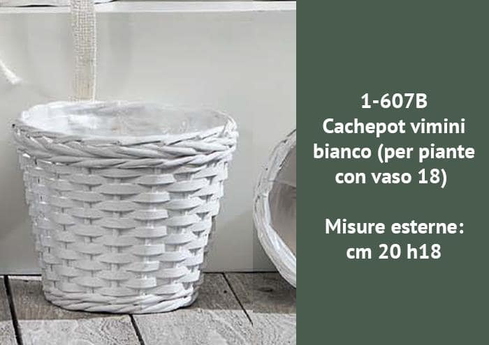 Cachepot portavaso in vimini bianco cm 20 h18 - Cesti vimini bianco