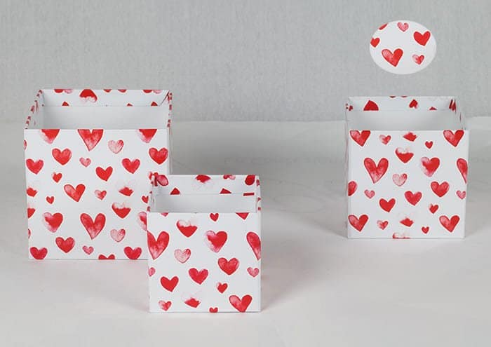 EasyFlò13 Flower box per fiori e piante vaso 12 cm petali di cuori