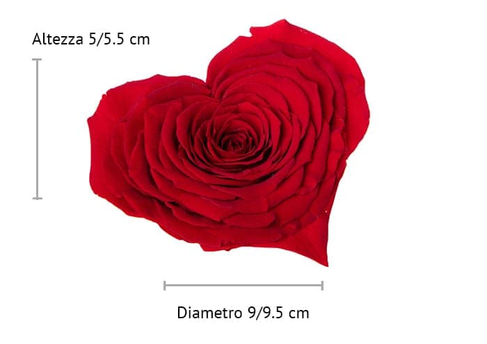 immagine e-commerce Rosa stabilizzata a forma di cuore cm 9 colore rosso