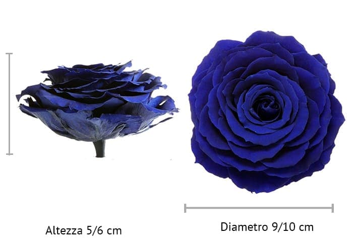immagine e-commerce Rosa stabilizzata cm 9.5 - colore blu