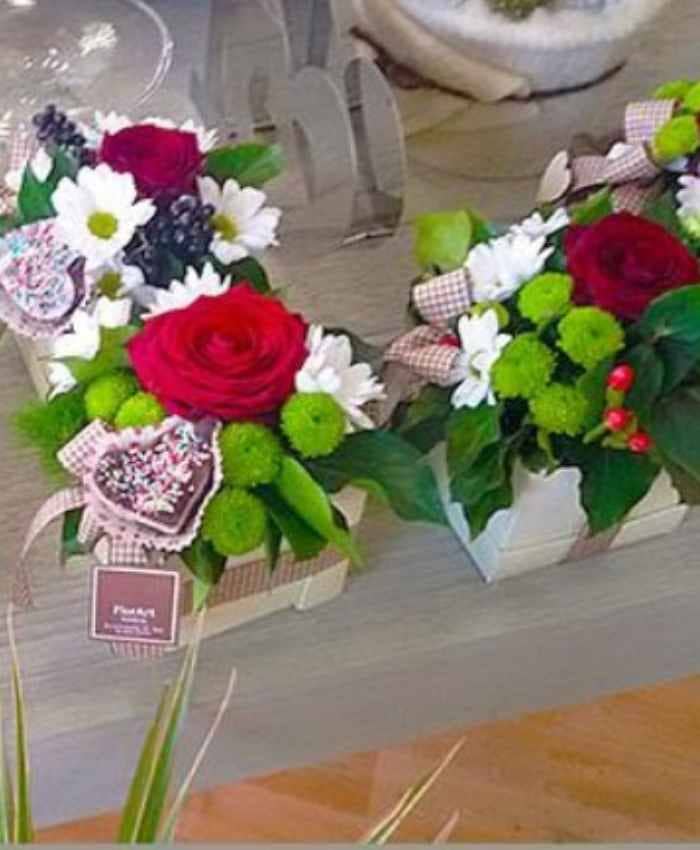 Pacchetto 70 mimose - Flowerbox economiche per fiori - immagine 7
