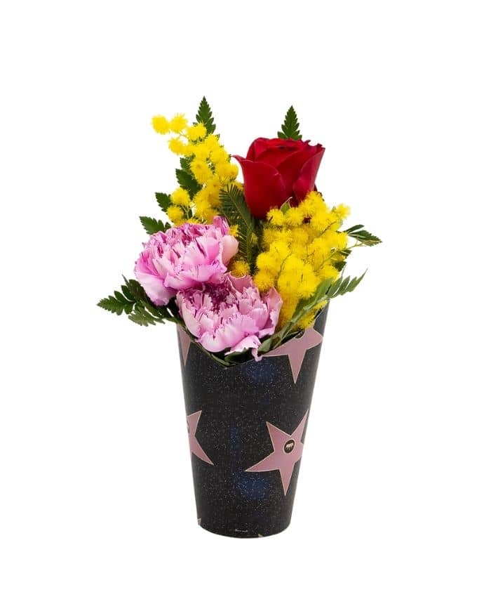 Pacchetto 70 mimose - Flowerbox economiche per fiori - immagine 4