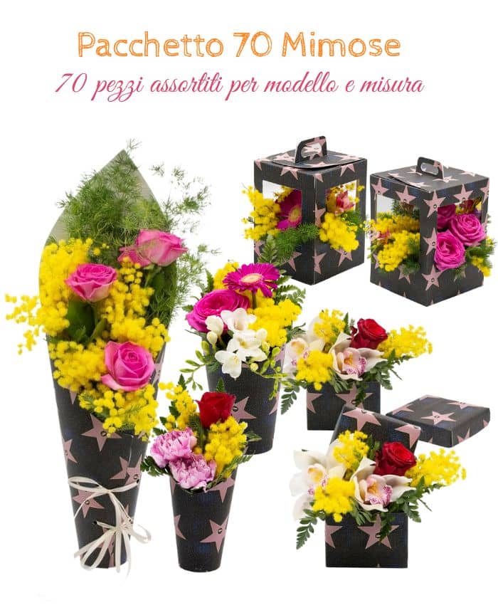 pacchetto-70-mimose-70-pezzi-assortiti-per-modello-e-misura
