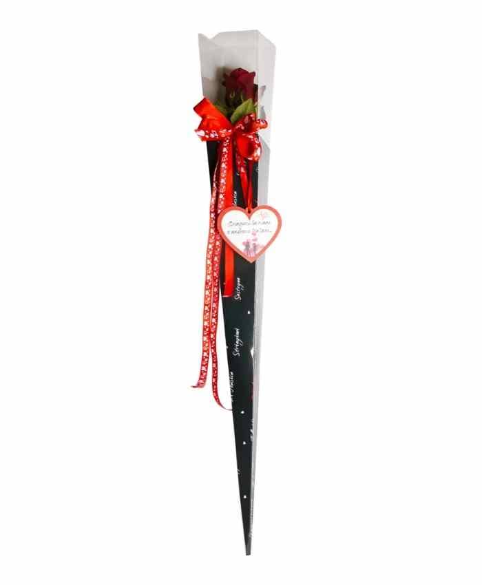 Everyday-Rose scatole trasparenti per rosa singola cm 75