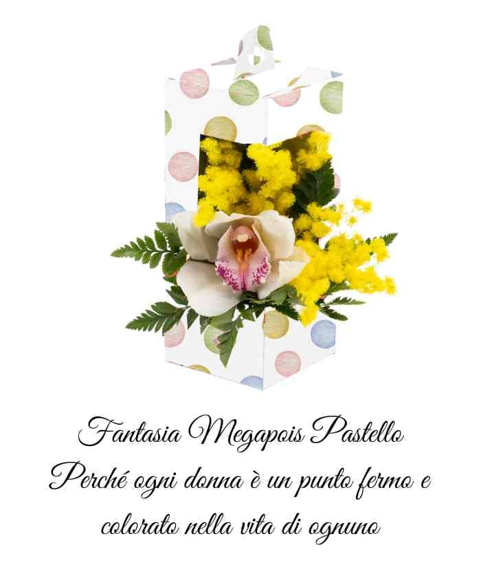 everyday-box-mini-flowerbox-con-finestra-e-manico-cm-19