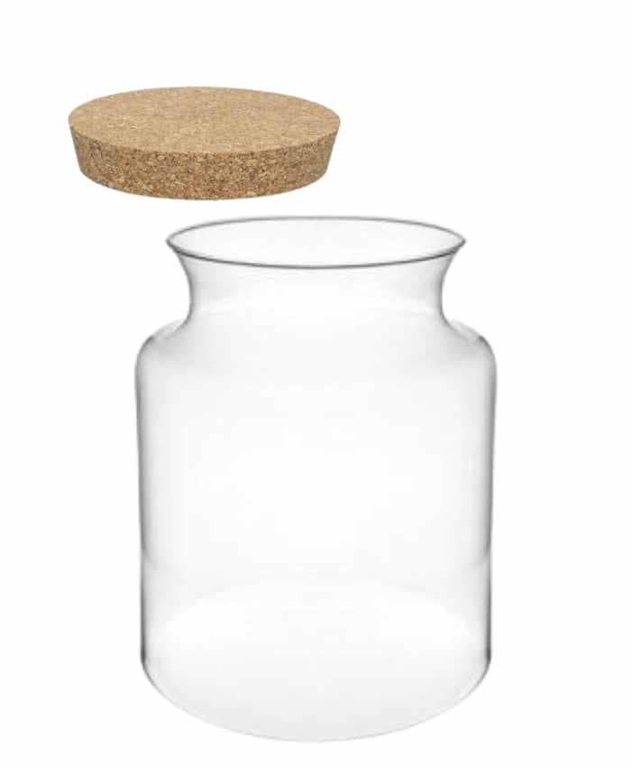 Immagine e commerce Vaso in vetro cilindrico con collo stretto per Terrarium alto 22 cm diametro 19