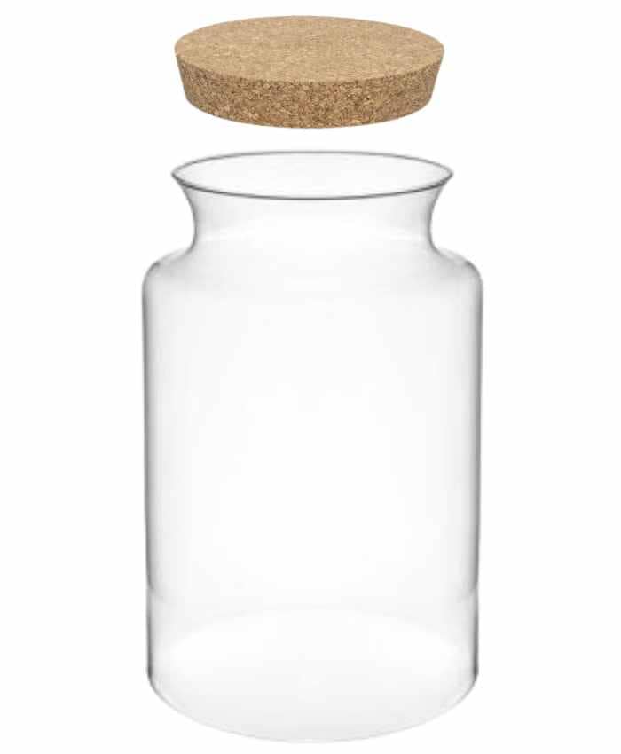 Immagine e commerce Vaso in vetro cilindrico con collo stretto per Terrarium alto 32 cm diametro 19