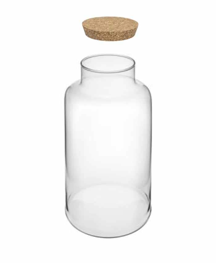 Immagine e commerce Vaso vetro cilindrico collo stretto con tappo sughero per Terrarium alto 23 cm