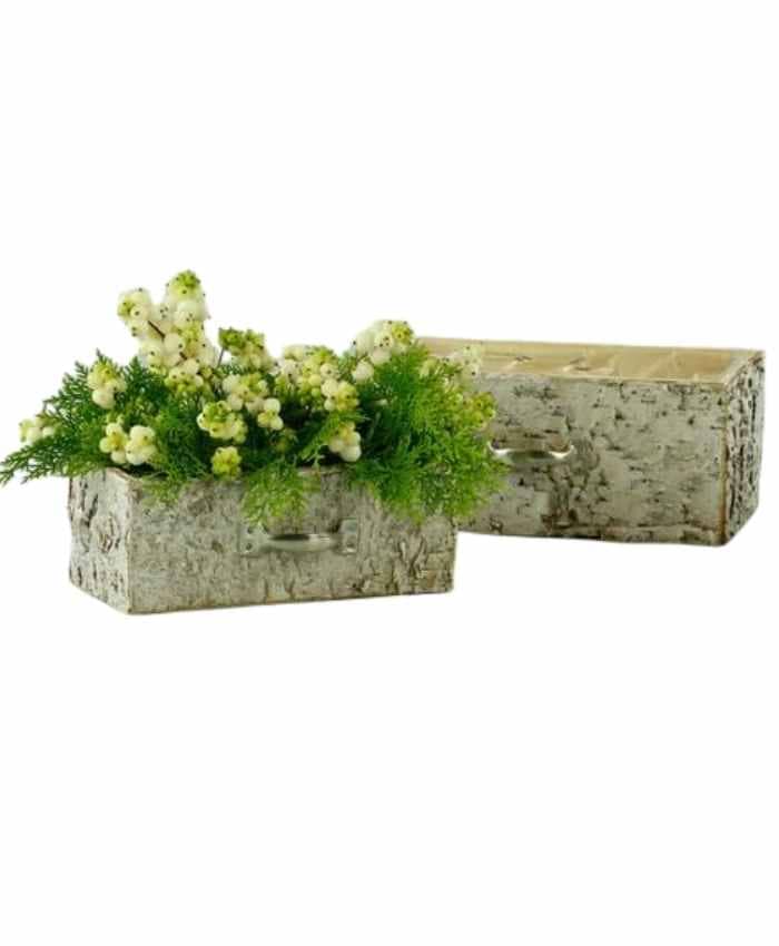 Immagine e commerce Serie 2 Portavaso rettangolare cassetto in betulla 21x10 h8-25x15 h10 cm