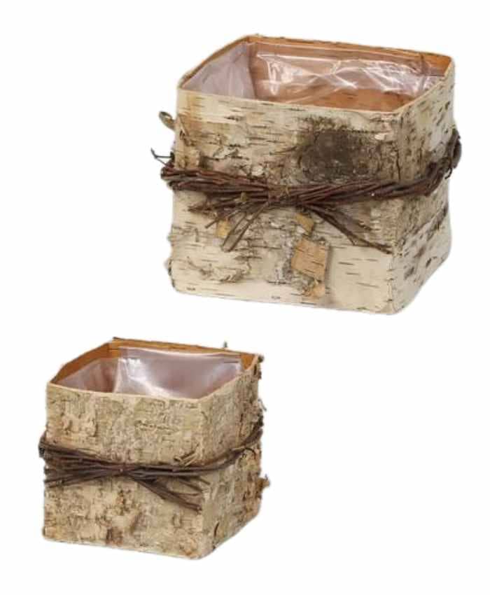 Immagine e commerce Serie 2 Portavaso quadrato in betulla con rametti 11x11 h8-15x15 h13 cm