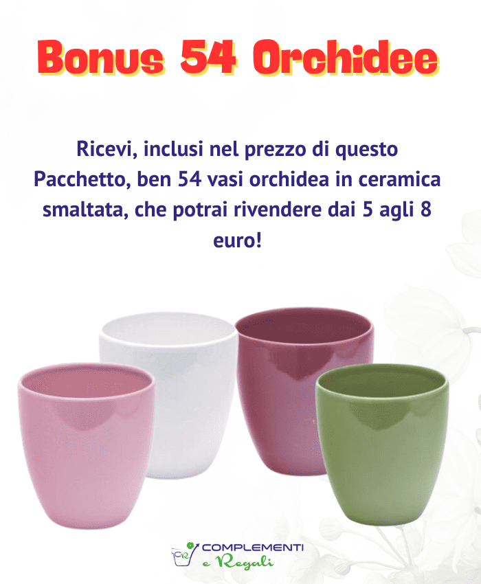 Bonus 54 Vasi orchidea Ingrosso fioristi Complementi e Regali