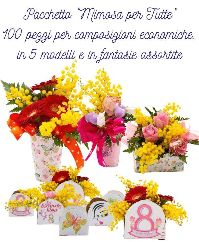 pacchetto-mimosa-per-tutte-100-in-5-modelli-assortiti-1