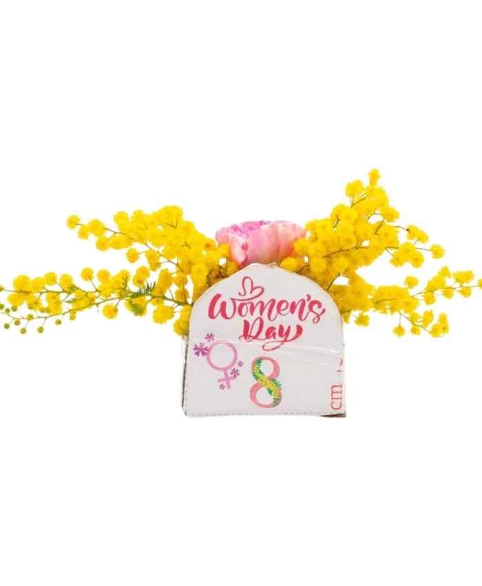 Pacchetto Mimosa per Tutte 100 in 5 modelli assortiti - immagine 21