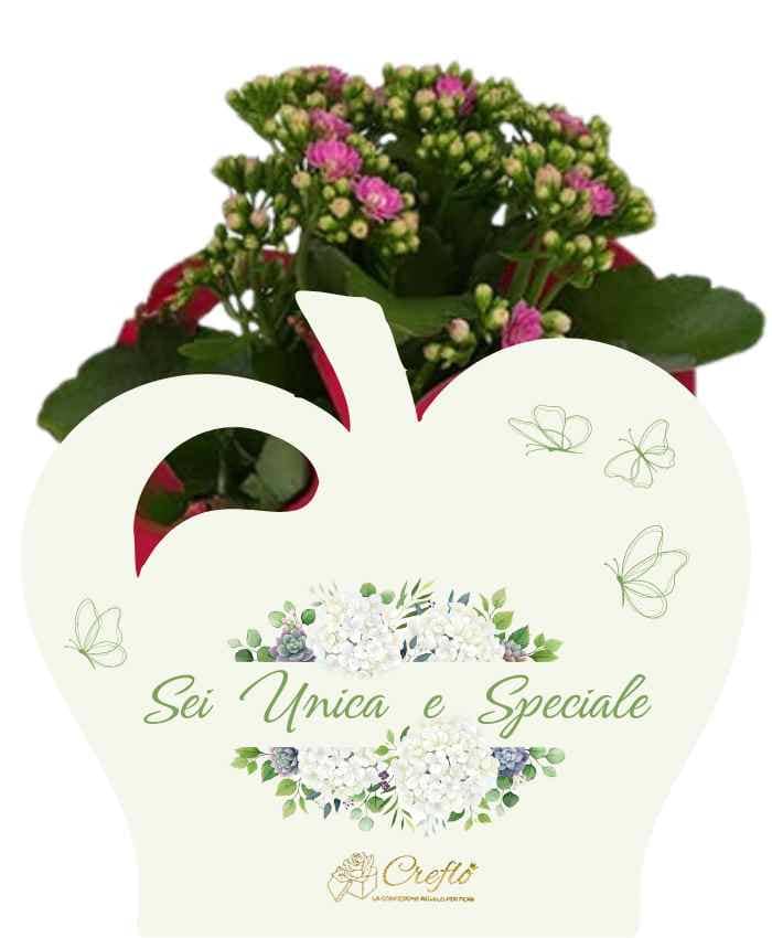 Pacchetto 10 Flowers bags Fiori e Parole 5 modelli 2 fantasie - immagine 4