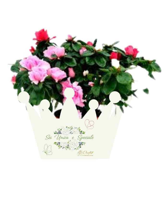 Pacchetto 10 Flowers bags Fiori e Parole 5 modelli 2 fantasie - immagine 7