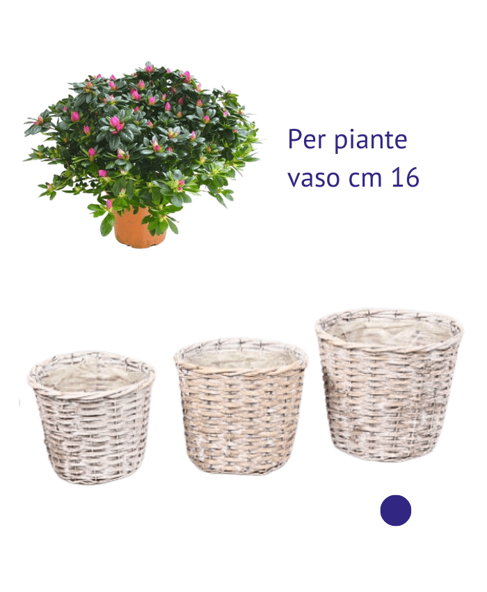 Immagine e commerce Portavaso vimini chiaro sbiancato per piante vaso 16 cm