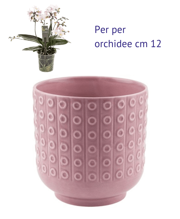 Immagine e commerce Vaso per orchidee ceramica rosa forma cilidro decoro cerchi base stretta