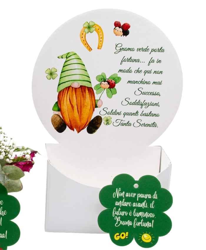 dedicaflo-31-cm-flowerbox-con-dedica-gnomo-porta-fortuna