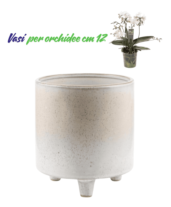 Immagine e commerce Vasi per orchidee forma cilidro con piedini colore avorio puntinato