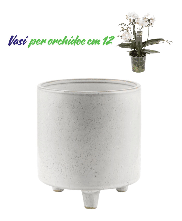 Immagine e commerce Vasi per orchidee forma cilidro con piedini colore bianco puntinato