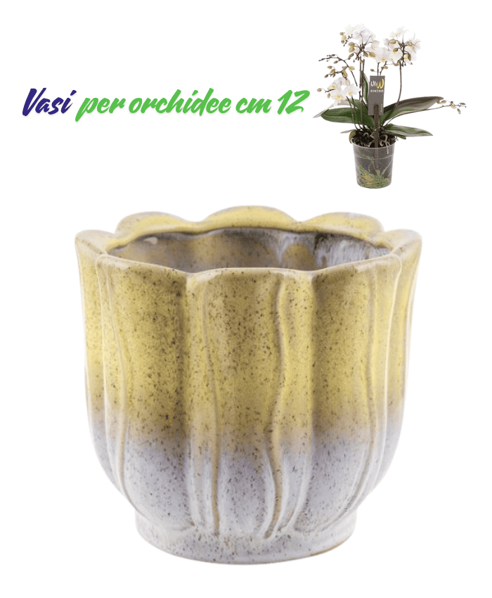 Immagine e commerce Vasi per orchidee superficie ondulata stile classico elegante colore giallo