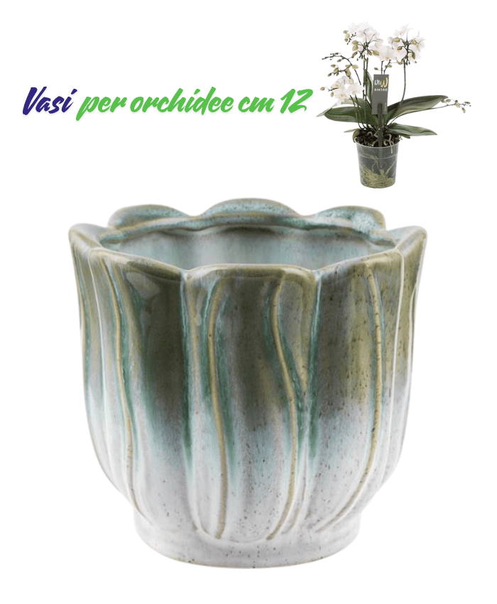 Immagine e commerce Vasi per orchidee superficie ondulata stile classico elegante colore verde